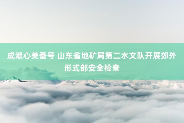 成濑心美番号 山东省地矿局第二水文队开展郊外形式部安全检查