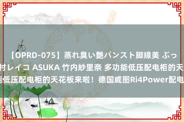 【OPRD-075】蒸れ臭い艶パンスト脚線美 ぶっかけゴックン大乱交 澤村レイコ ASUKA 竹内紗里奈 多功能低压配电柜的天花板来啦！德国威图Ri4Power配电处治有经营