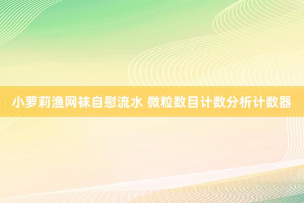 小萝莉渔网袜自慰流水 微粒数目计数分析计数器