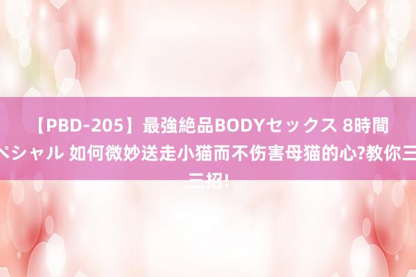 【PBD-205】最強絶品BODYセックス 8時間スペシャル 如何微妙送走小猫而不伤害母猫的心?教你三招!