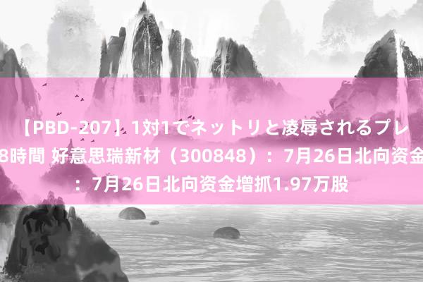 【PBD-207】1対1でネットリと凌辱されるプレミア女優たち 8時間 好意思瑞新材（300848）：7月26日北向资金增抓1.97万股