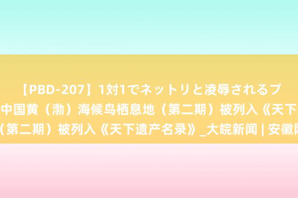 【PBD-207】1対1でネットリと凌辱されるプレミア女優たち 8時間 中国黄（渤）海候鸟栖息地（第二期）被列入《天下遗产名录》_大皖新闻 | 安徽网