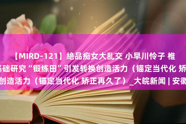 【MIRD-121】絶品痴女大乱交 小早川怜子 椎名ゆな ASUKA 乃亜 基础研究“锻练田”引发转换创造活力（锚定当代化 矫正再久了）_大皖新闻 | 安徽网