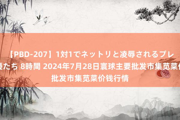 【PBD-207】1対1でネットリと凌辱されるプレミア女優たち 8時間 2024年7月28日寰球主要批发市集苋菜价钱行情