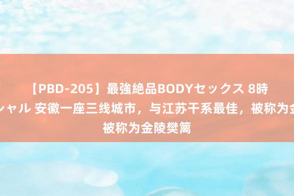 【PBD-205】最強絶品BODYセックス 8時間スペシャル 安徽一座三线城市，与江苏干系最佳，被称为金陵樊篱