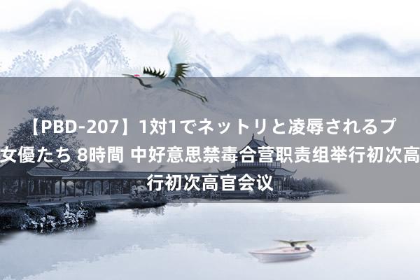 【PBD-207】1対1でネットリと凌辱されるプレミア女優たち 8時間 中好意思禁毒合营职责组举行初次高官会议