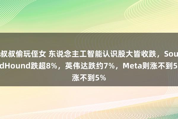 叔叔偷玩侄女 东说念主工智能认识股大皆收跌，SoundHound跌超8%，英伟达跌约7%，Meta则涨不到5%