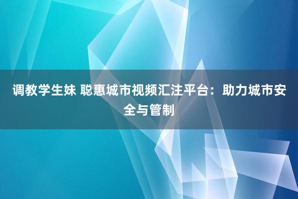 调教学生妹 聪惠城市视频汇注平台：助力城市安全与管制