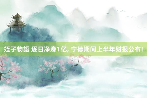 姪子物語 逐日净赚1亿, 宁德期间上半年财报公布!