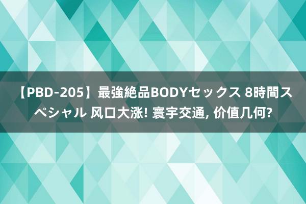 【PBD-205】最強絶品BODYセックス 8時間スペシャル 风口大涨! 寰宇交通, 价值几何?