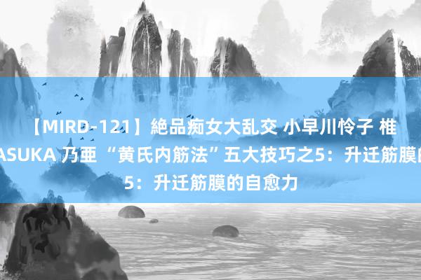 【MIRD-121】絶品痴女大乱交 小早川怜子 椎名ゆな ASUKA 乃亜 “黄氏内筋法”五大技巧之5：升迁筋膜的自愈力