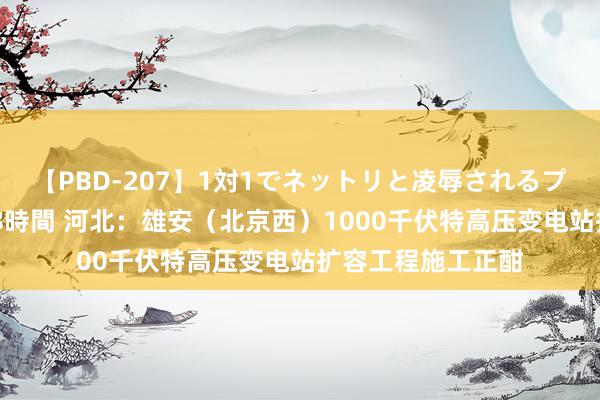 【PBD-207】1対1でネットリと凌辱されるプレミア女優たち 8時間 河北：雄安（北京西）1000千伏特高压变电站扩容工程施工正酣