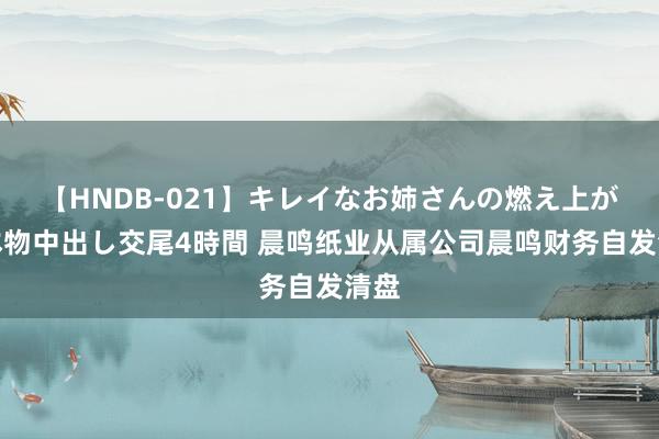 【HNDB-021】キレイなお姉さんの燃え上がる本物中出し交尾4時間 晨鸣纸业从属公司晨鸣财务自发清盘