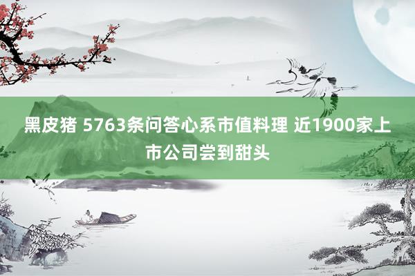 黑皮猪 5763条问答心系市值料理 近1900家上市公司尝到甜头