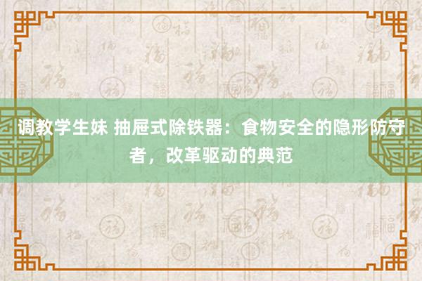 调教学生妹 抽屉式除铁器：食物安全的隐形防守者，改革驱动的典范