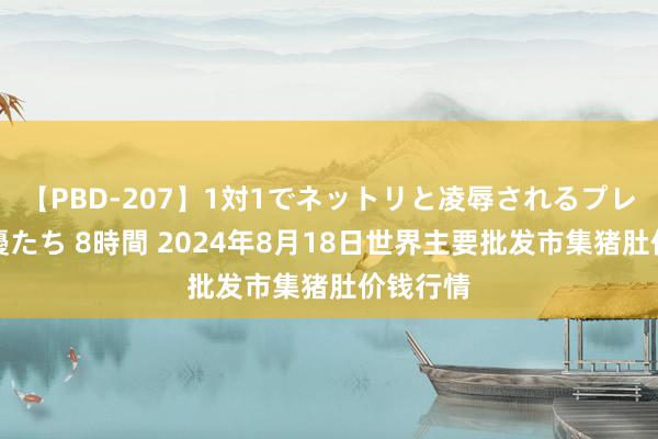 【PBD-207】1対1でネットリと凌辱されるプレミア女優たち 8時間 2024年8月18日世界主要批发市集猪肚价钱行情