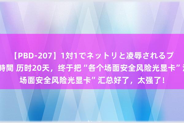 【PBD-207】1対1でネットリと凌辱されるプレミア女優たち 8時間 历时20天，终于把“各个场面安全风险光显卡”汇总好了，太强了！