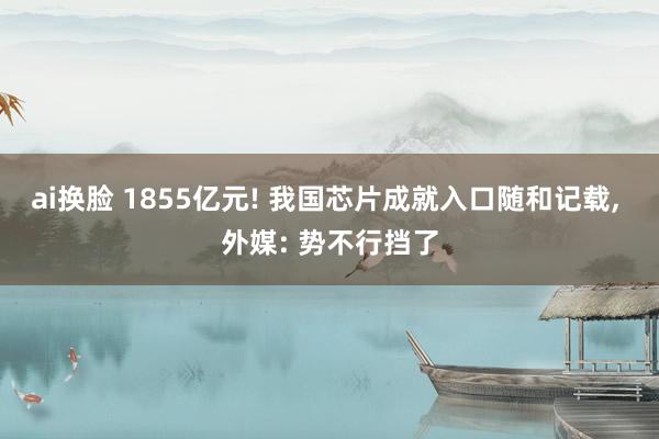 ai换脸 1855亿元! 我国芯片成就入口随和记载, 外媒: 势不行挡了